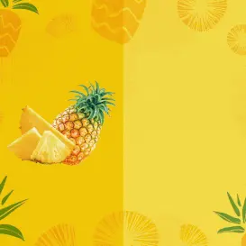SILLYICECOVER